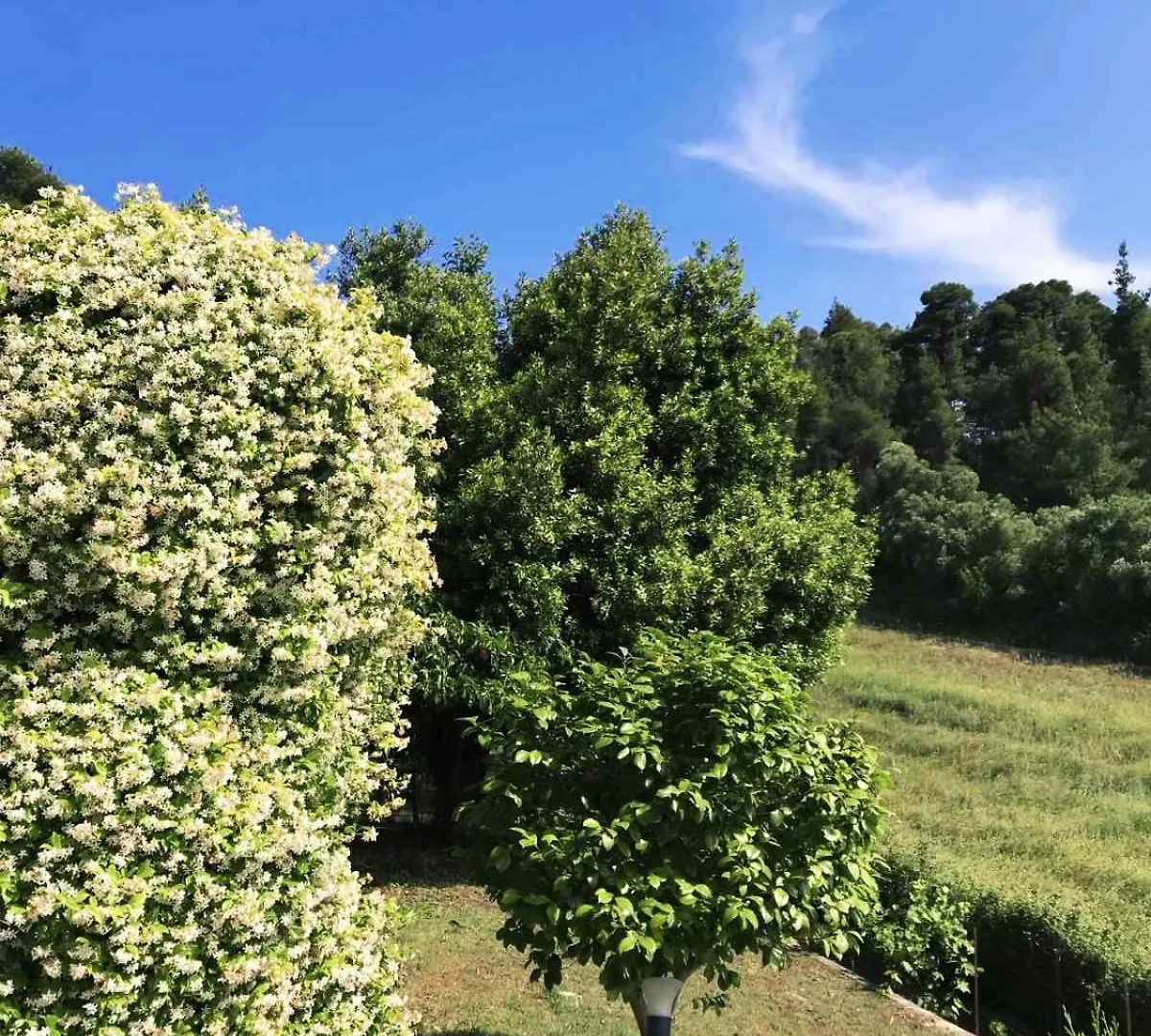 Camelia Elegant Cottage With Orchard & View Elani