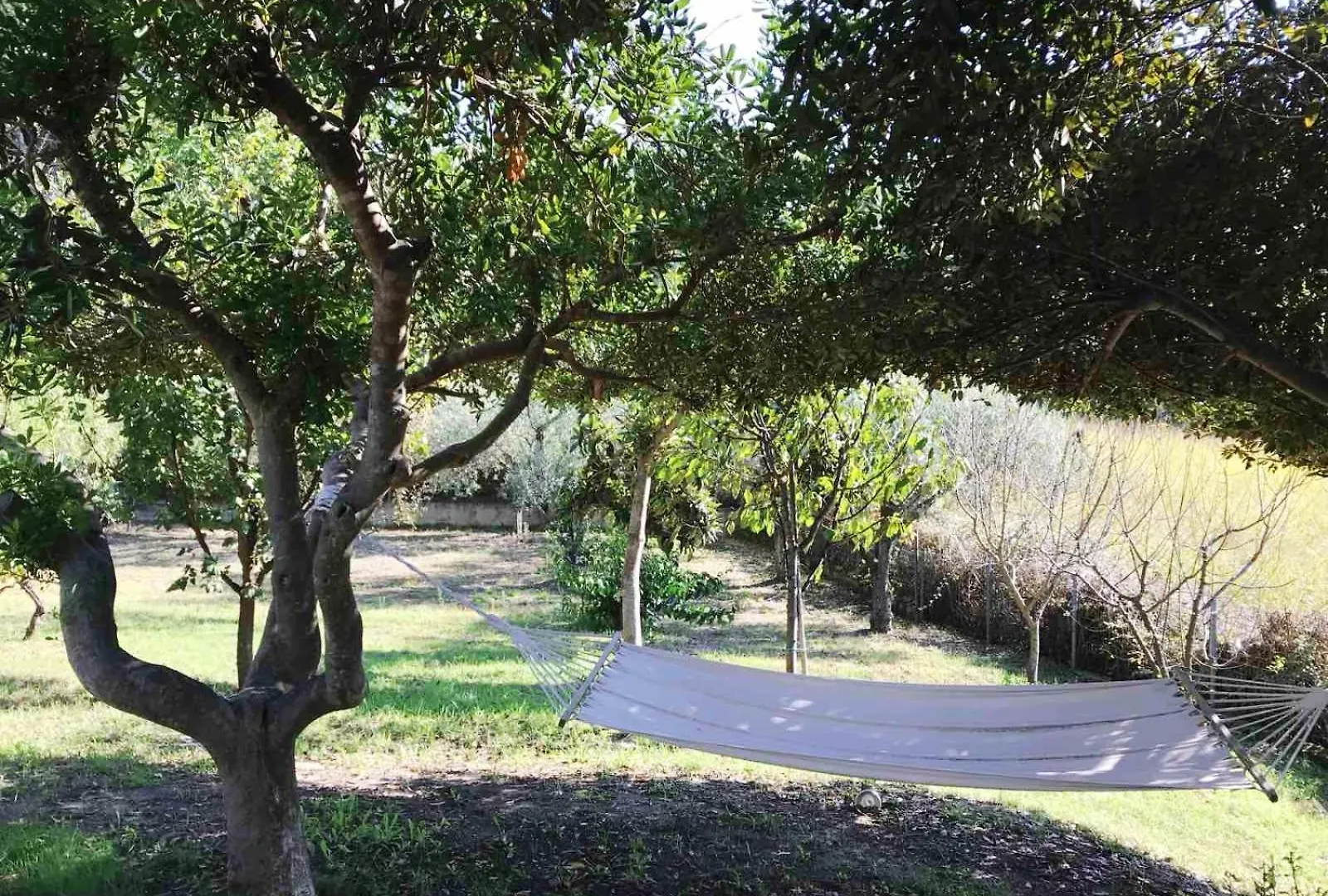 Camelia Elegant Cottage With Orchard & View Elani